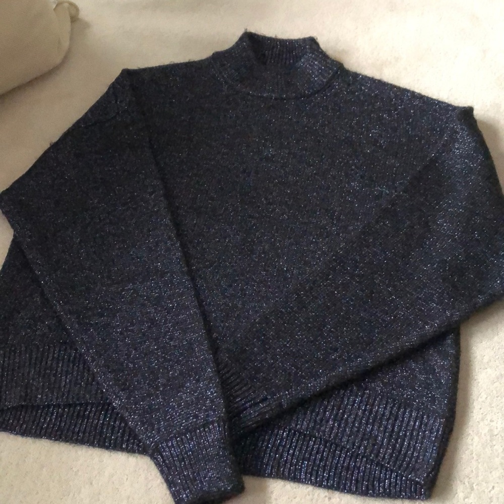 Sparkly Zara sweater!